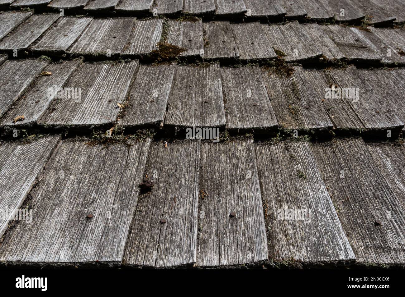 Perspektivische Dachstruktur aus Holz – Alte Dachstruktur aus Holz. Stockfoto