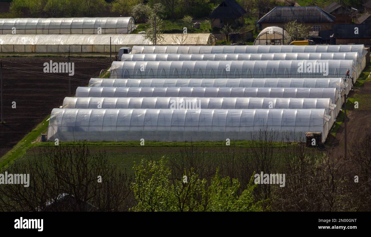 Gewächshäuser in Reihe, bedeckt mit einer transparenten Schicht aus Gemüse und Obst, Draufsicht. Landwirtschaft, ökologische Erzeugnisse. Stockfoto