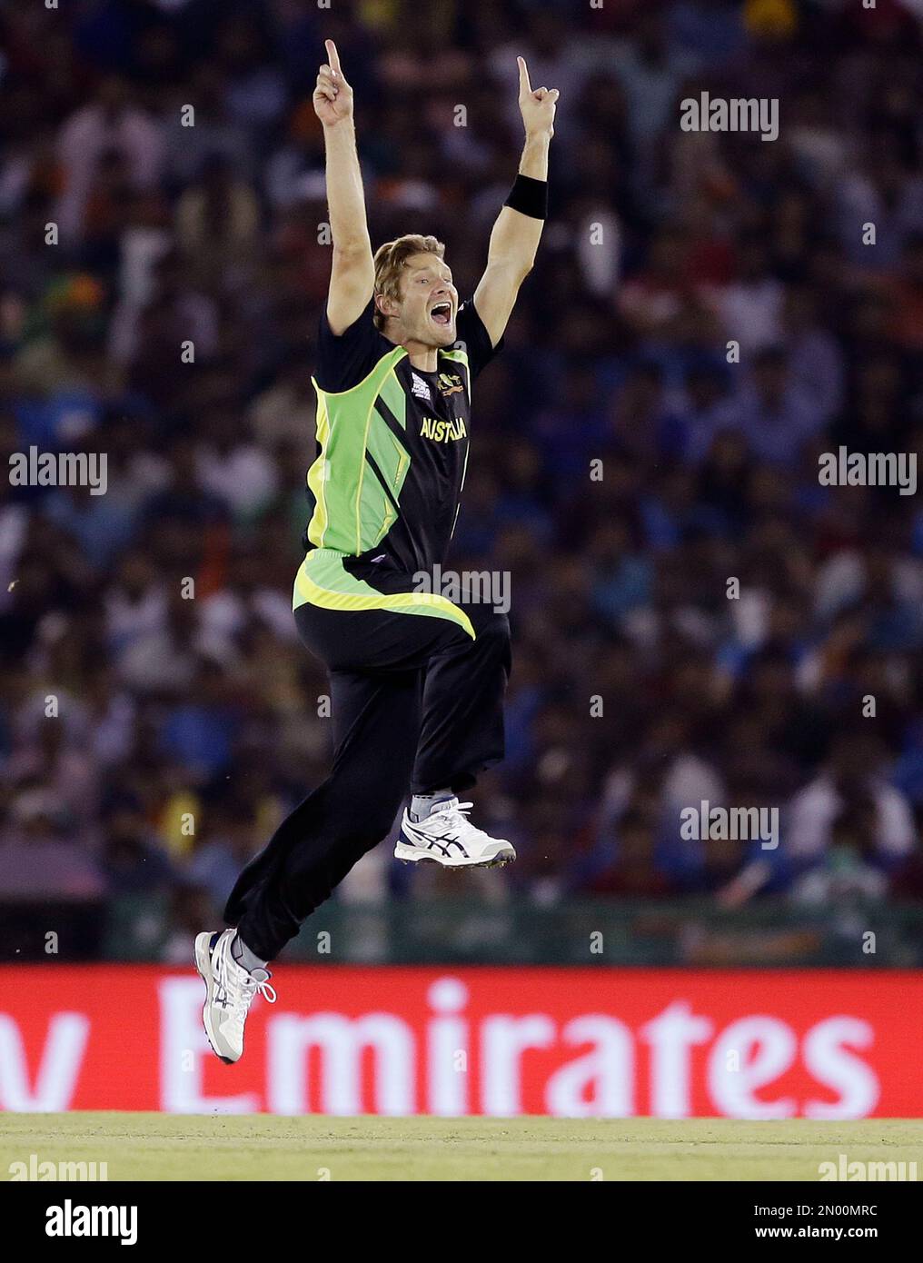 Australia's Shane Watson celebrates after dismissing India's Suresh Raina during their ICC World Twenty20 2016 cricket match in Mohali, India, Sunday, March 27, 2016. (AP Photo/Altaf Qadri) Stockfoto