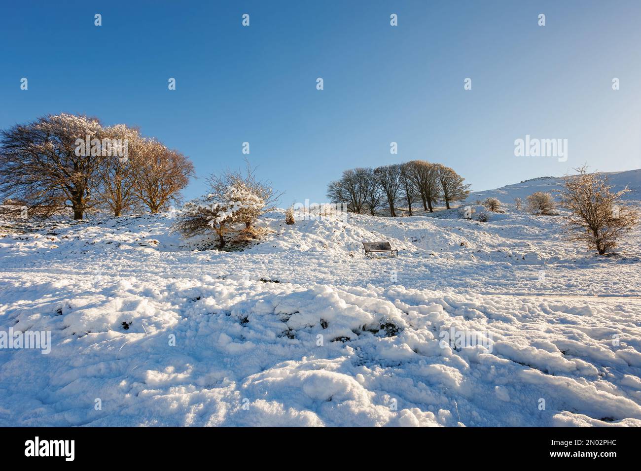 Schneebedeckte Hügel und Winterszenen auf Cleeve Hill, Gloucestershire Stockfoto