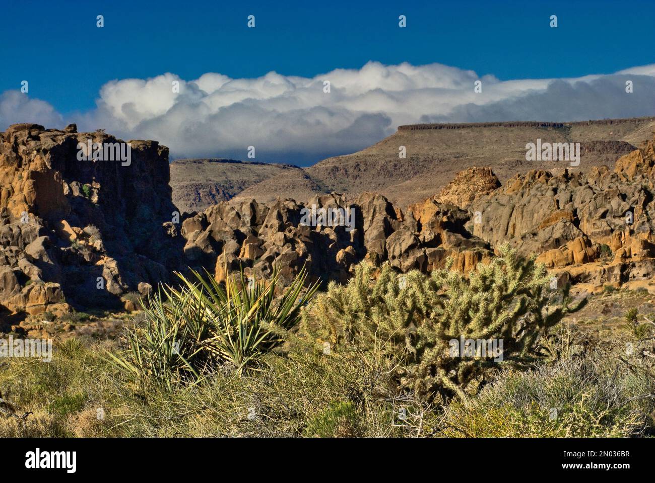 Winziger Felsen am Mojave National Preserve, Kalifornien, USA Stockfoto
