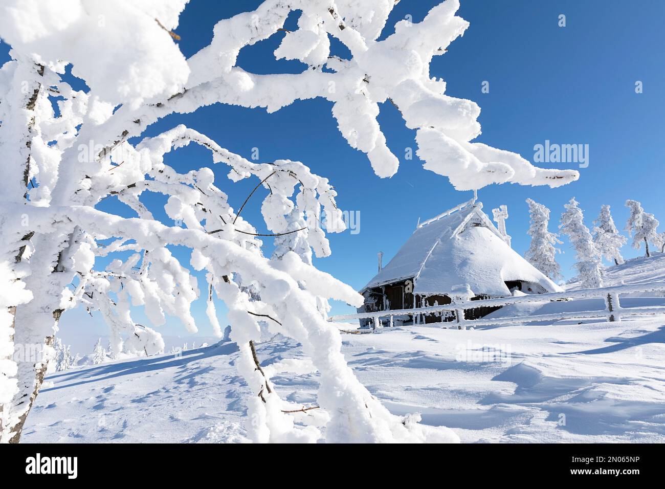 Eine Hirtensiedlung, traditionelles Hirtenhaus, im Winter mit Neuschnee bedeckt, auf Almweide, Wiese Velika Planina, Slowenien Stockfoto