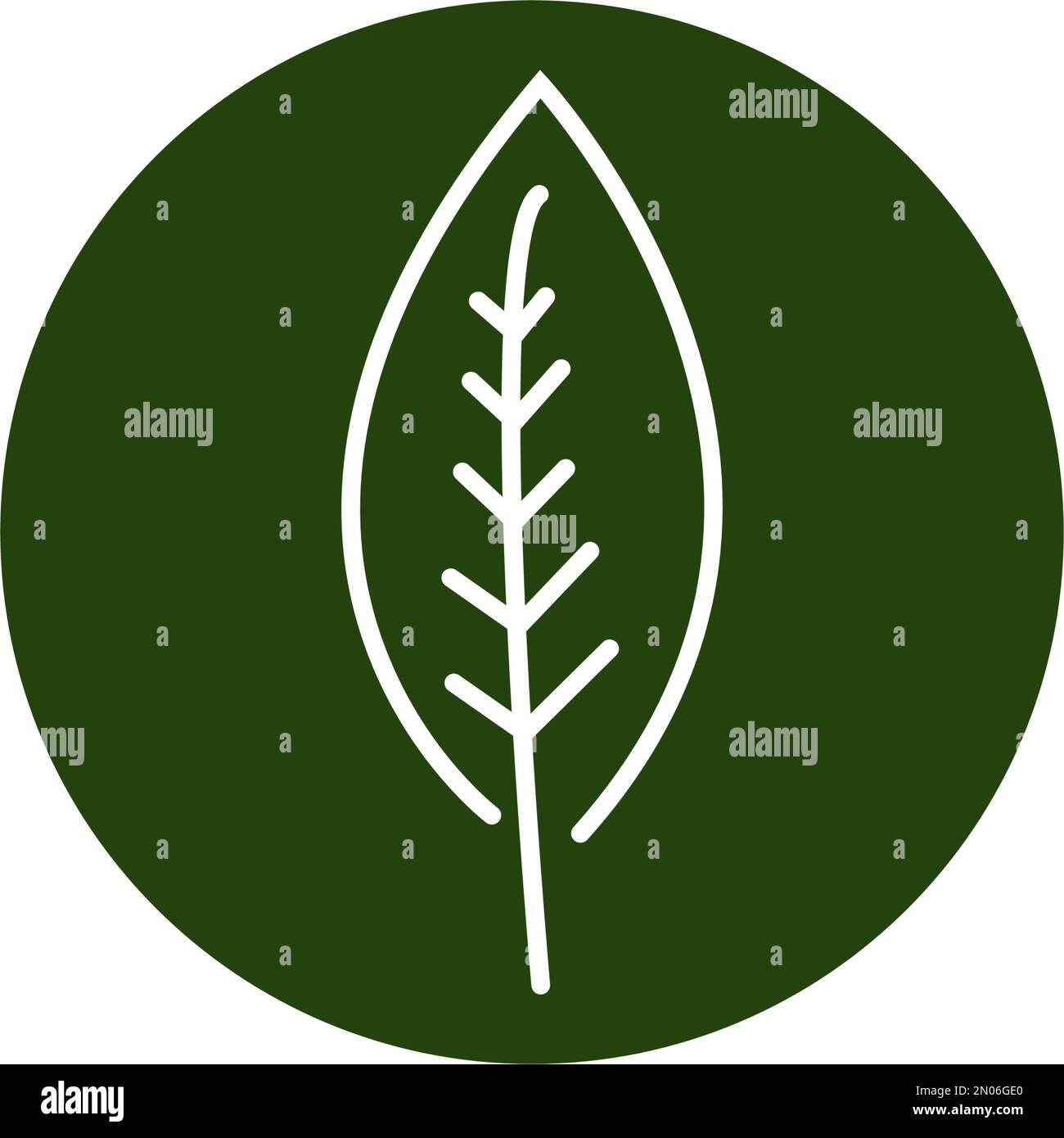 Blattlogo Vektorvorlage Designabbildung Stock Vektor