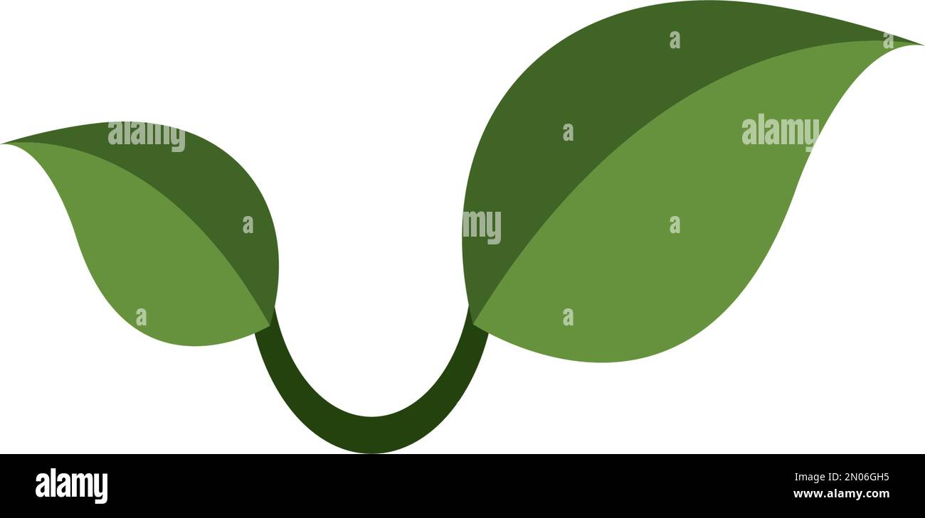 Blattlogo Vektorvorlage Designabbildung Stock Vektor