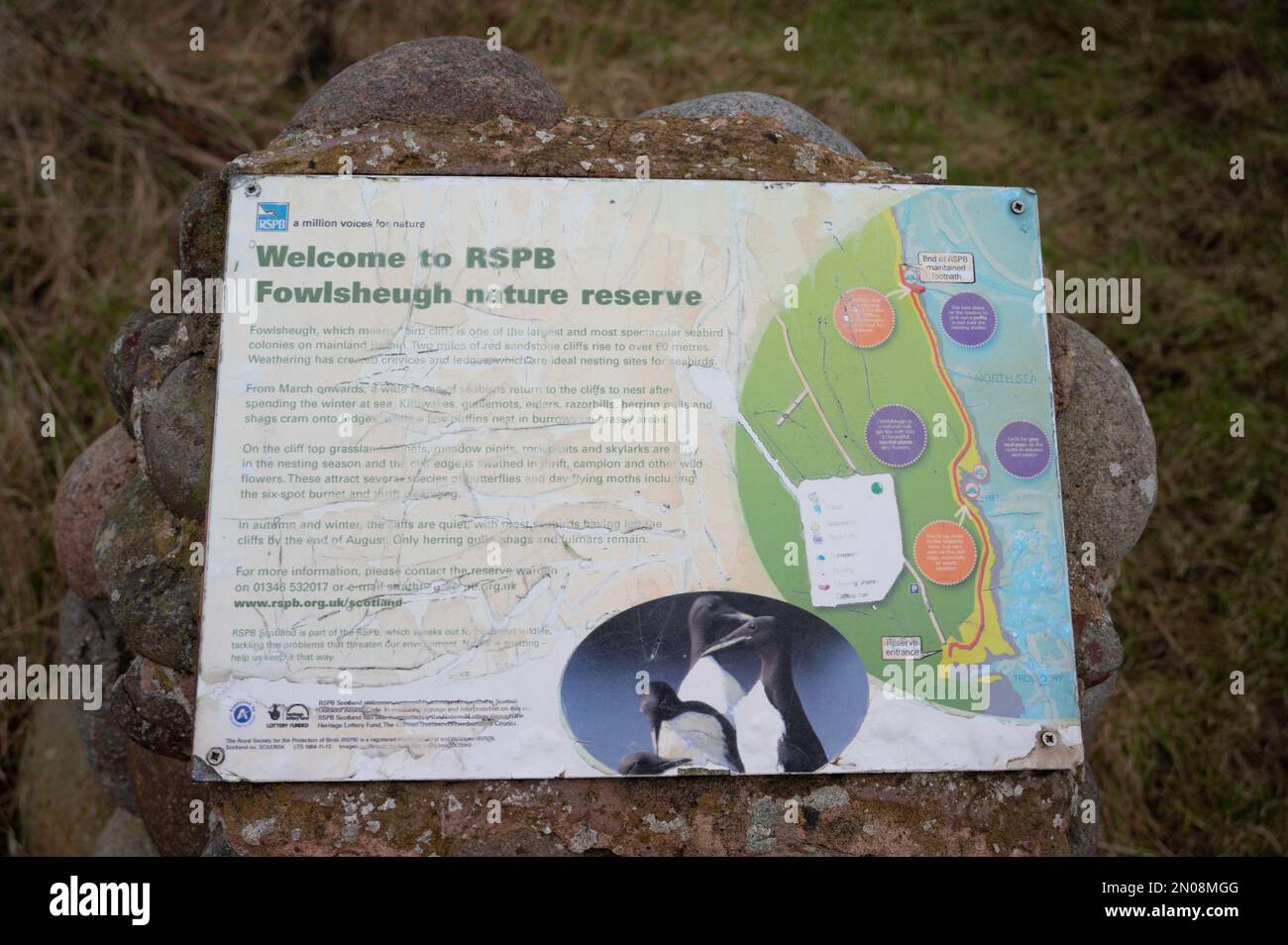 Schild für Fowlsheugh Nature Reserve in Aberdeenshire, Schottland. RSPB-Zeichen. Das Schild ist verwittert. Unscharfer grasiger Hintergrund. Stockfoto