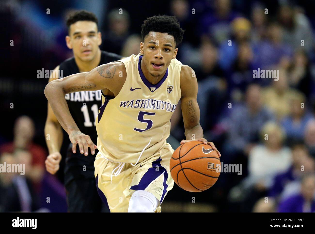 Washington guard Dejounte Murray drives down the court against Stanford during an NCAA college basketball game, Saturday, Feb. 20, 2016, in Seattle. (AP Photo/Ted S. Warren) Stockfoto
