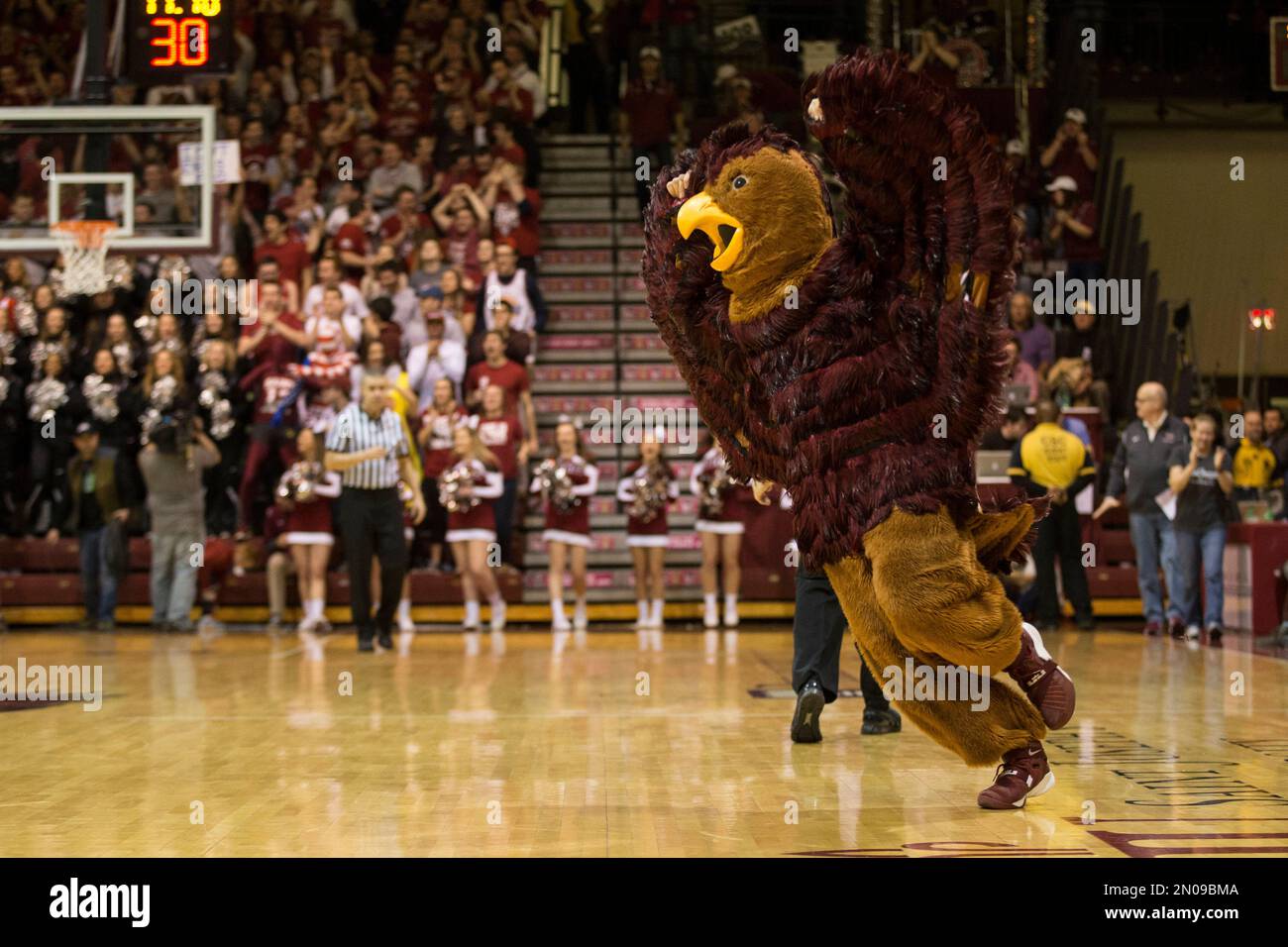 Saint Joseph's mascot Hawk in action during the second half of an NCAA college basketball game against the Dayton, Wednesday, Feb. 17, 2016, in Philadelphia. Saint Joseph's won 79-70. (AP Photo/Chris Szagola) Stockfoto