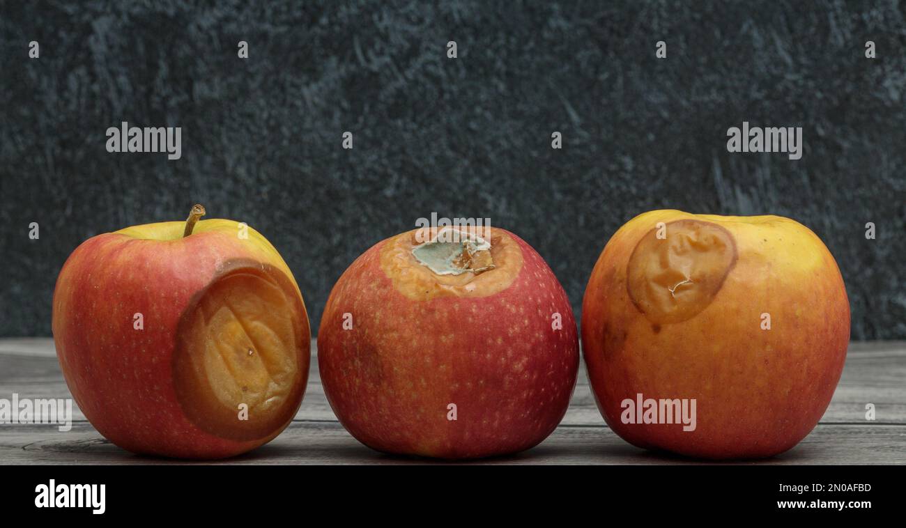 Drei faule Äpfel mit Schimmel auf dunklem Hintergrund Stockfoto