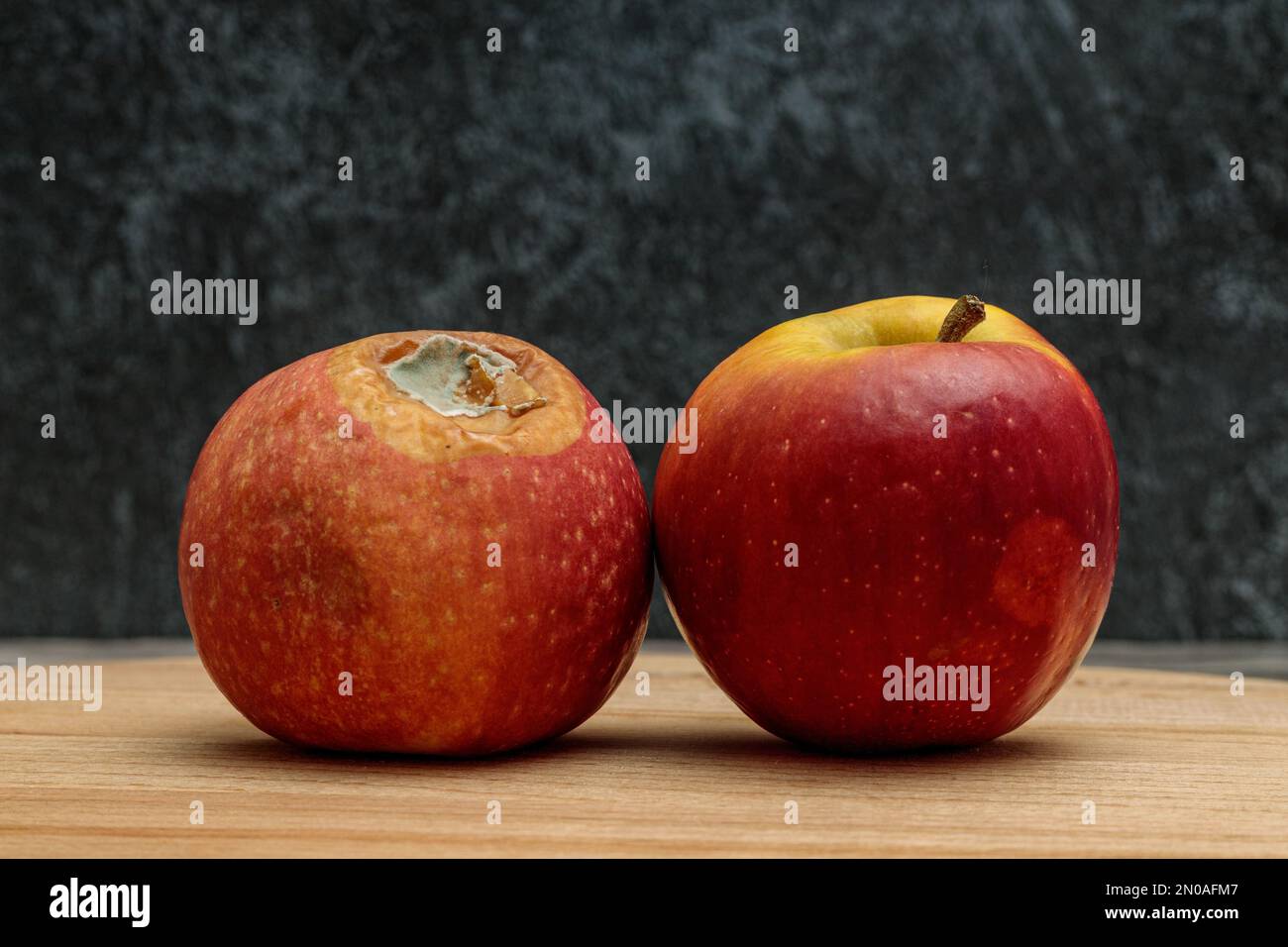 Ein fauler Apfel mit Schimmel und ein frischer Apfel auf dunklem Hintergrund Stockfoto