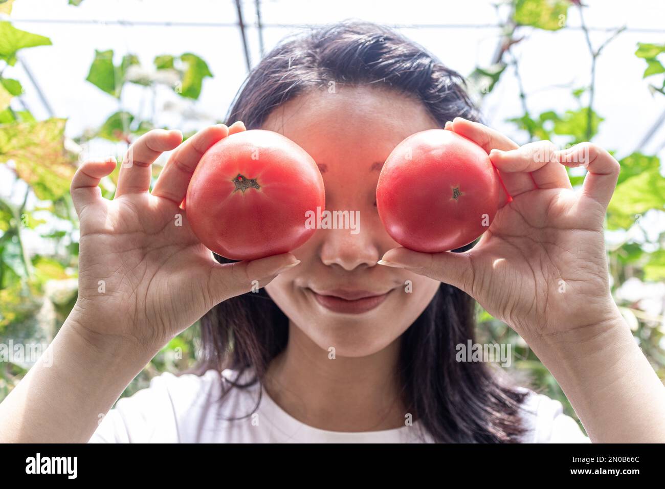 leckeres Essen Stockfoto