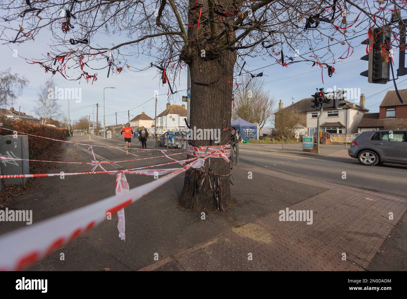 Rochford, Großbritannien. 5. Februar 2023. Demonstranten von Save holt Farm Oak Tree haben ihr Baumlager aus dem Eichenbaum entfernt, auf richterlichen Befehl von Bloor Homes Baufirma. Der Auftrag tritt am 6. Februar 2023 in Kraft und besagt, dass Bloor Homes oder seine Auftragnehmer nicht absichtlich behindert werden dürfen. Die Gruppe hat nun ein kleines Lager gegenüber dem Baum aufgebaut. Die 100 Jahre alte Eiche wird voraussichtlich jederzeit bis zum 16. April 2023 gefällt. Penelope Barritt/Alamy Live News Stockfoto