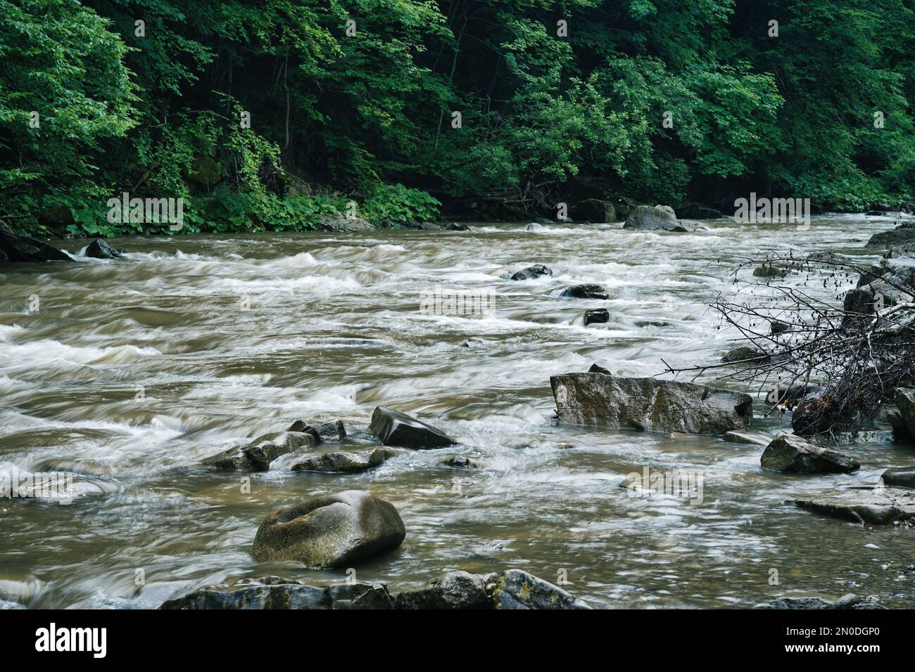 Podkarpacie, Sommer, Juli, San River, rauschendes Wasser zwischen Steinen in einem Bergfluss Stockfoto