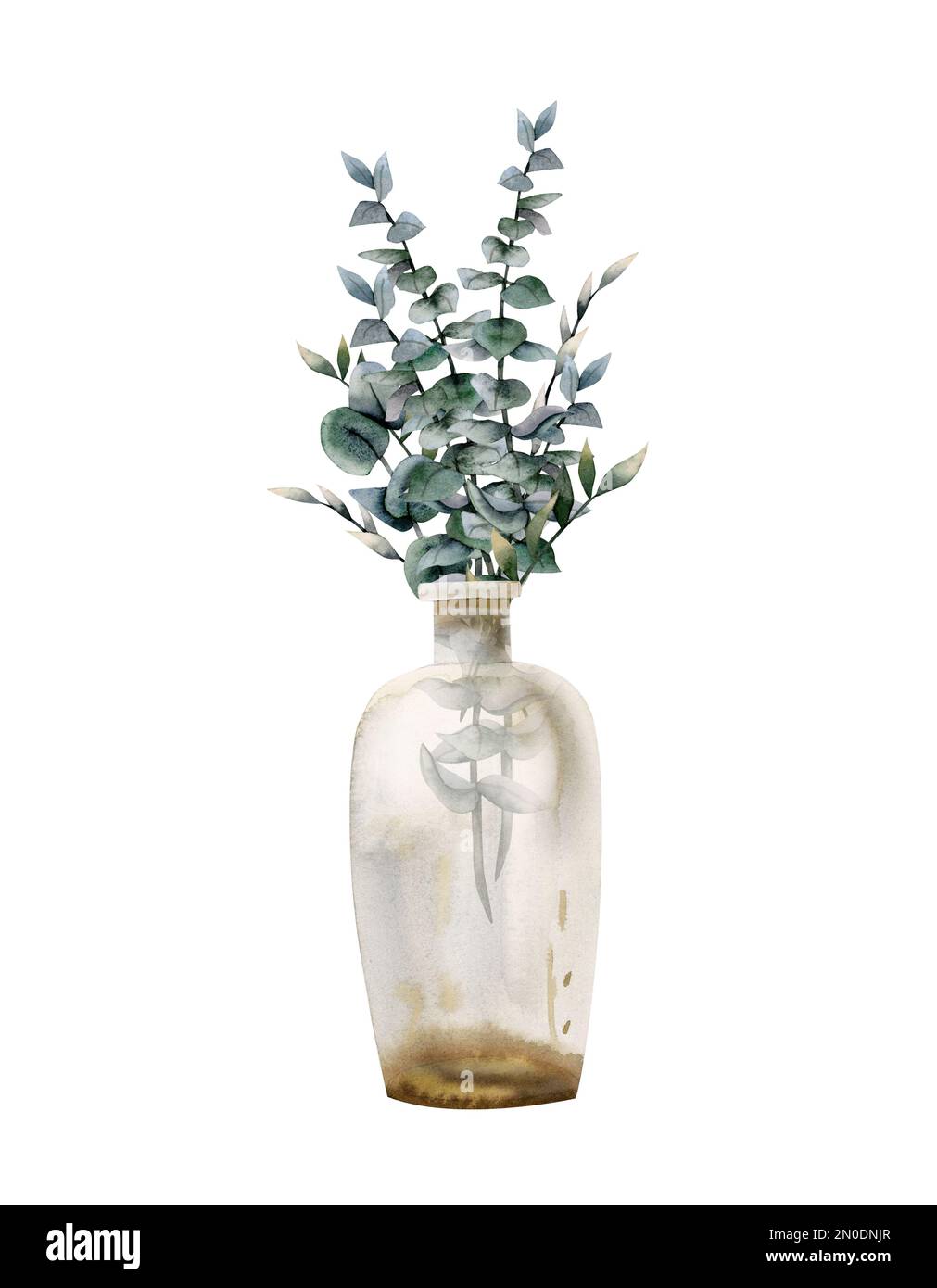 Aquarellgrüne Eukalyptusäste in Glasflaschenvase. Handgezeichnete realistische Darstellung isoliert auf weißem Hintergrund. Stockfoto