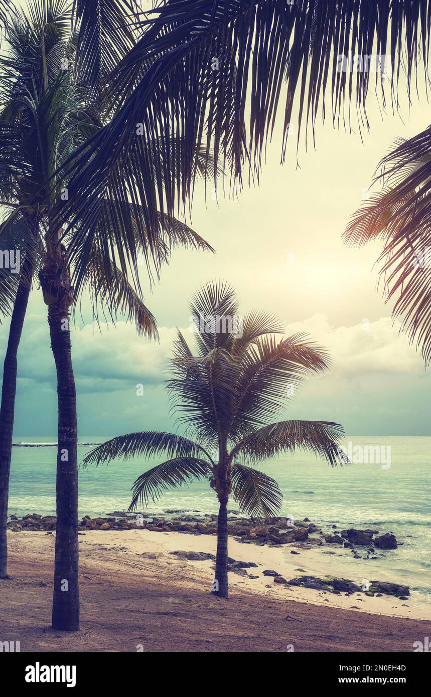 Leerer tropischer Strand bei Sonnenuntergang, Farbtöne angewendet, Reisekonzept. Stockfoto