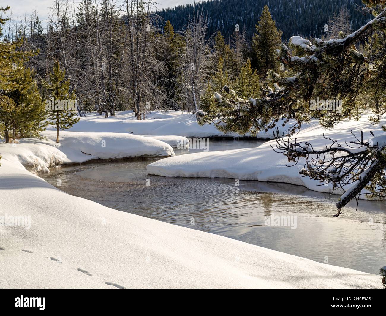 Wunderschöne Landschaft im Winter mit Bach und Wald Stockfoto