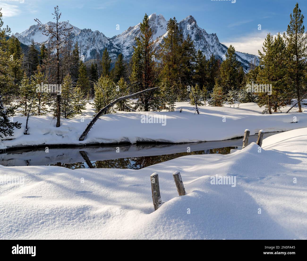 Sägezahngebirge im Idaho Winterwald Stockfoto
