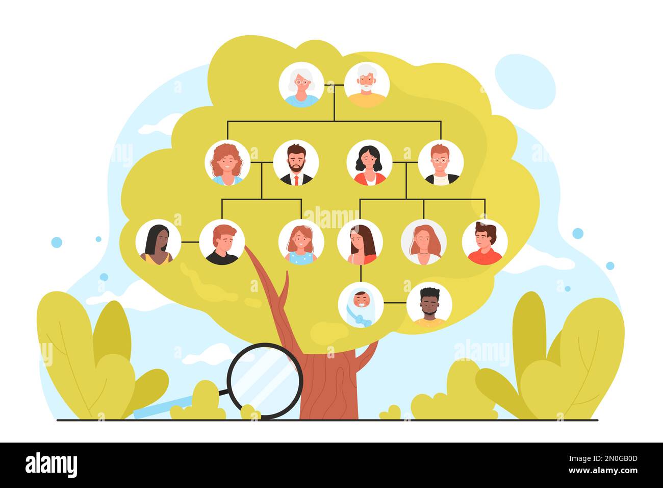 Genealogie, Infografik Stammbaum-Vektordarstellung. Grüner Cartoon-Baum mit Porträtsymbolen von vier Generationen von Verwandten auf Zweigen, Lupe, um Geschichte und Vorfahren für ein Wiedersehen zu studieren Stock Vektor