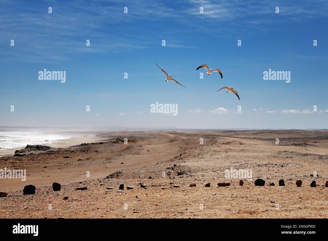 Namib-Wüste, Skeleton-Küste, Namibia Stockfoto