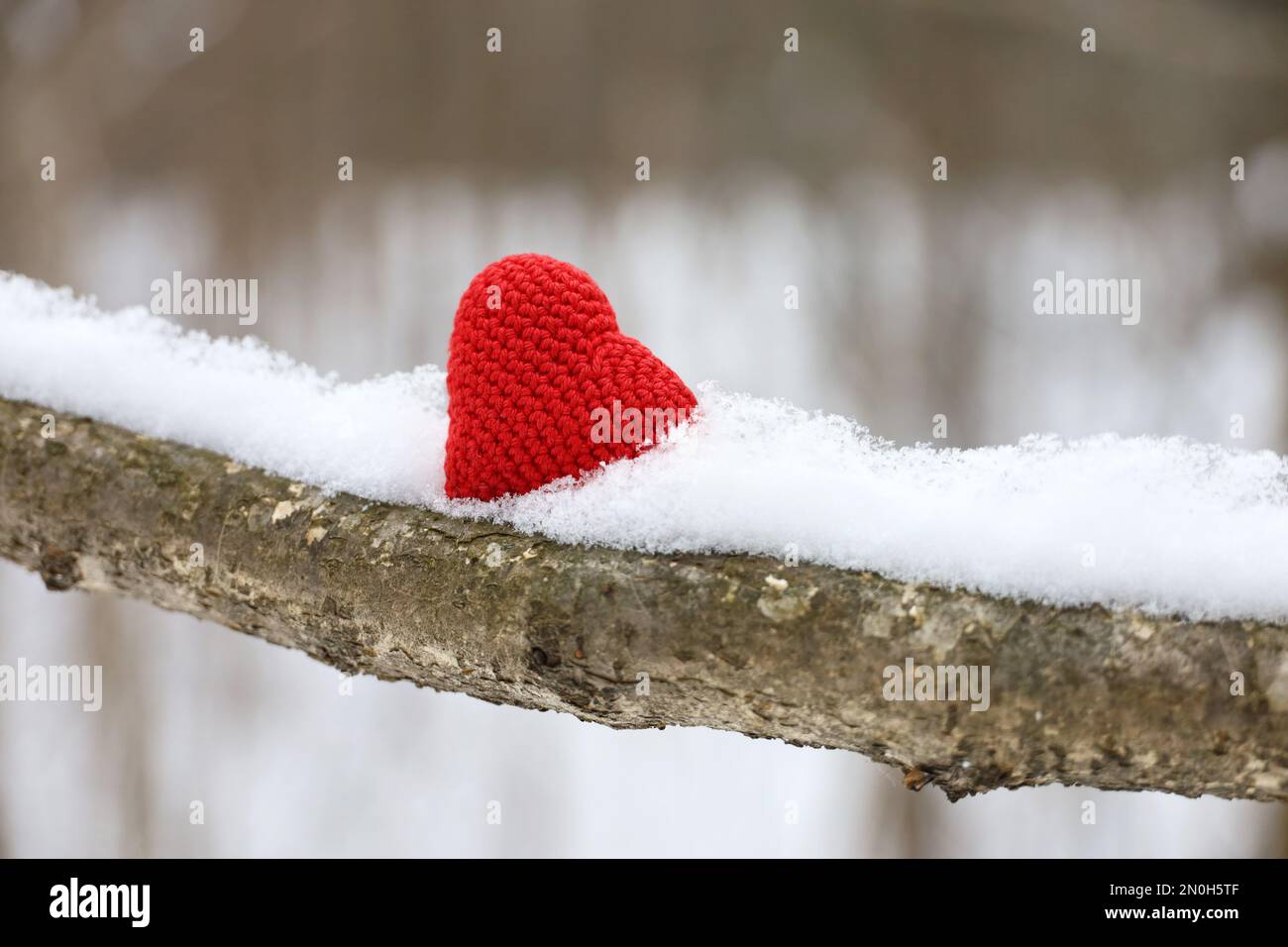 Valentinsherz auf einem mit Schnee bedeckten Ast im Winterwald. Rotes Stricksymbol der Liebe, Konzept der Neujahrsfeier oder Valentinstag Stockfoto