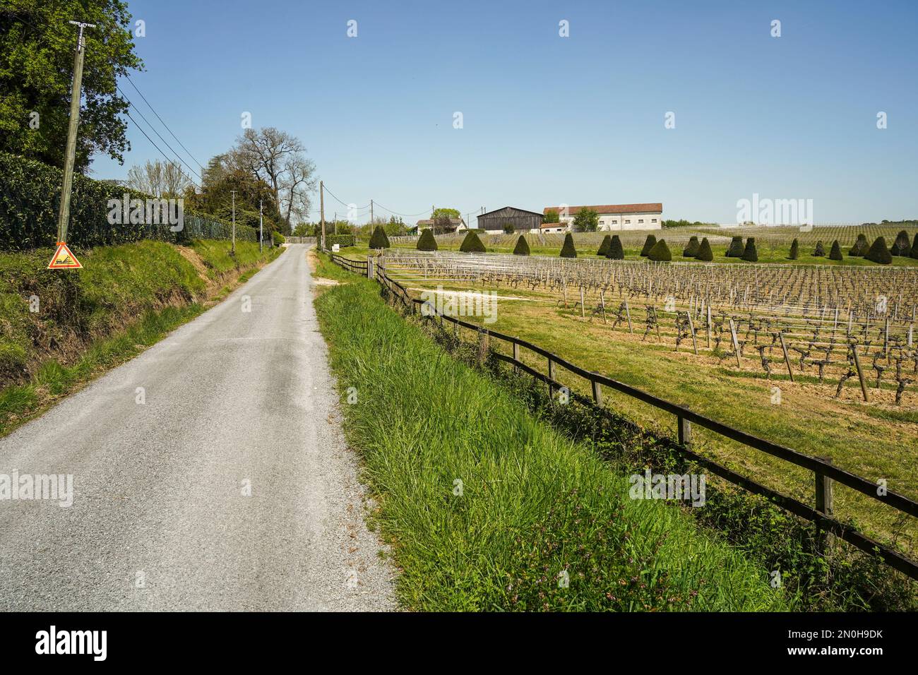 Straße durch französisches Weinanbaugebiet, Bordeaux Region, Frankreich, Europa. Stockfoto