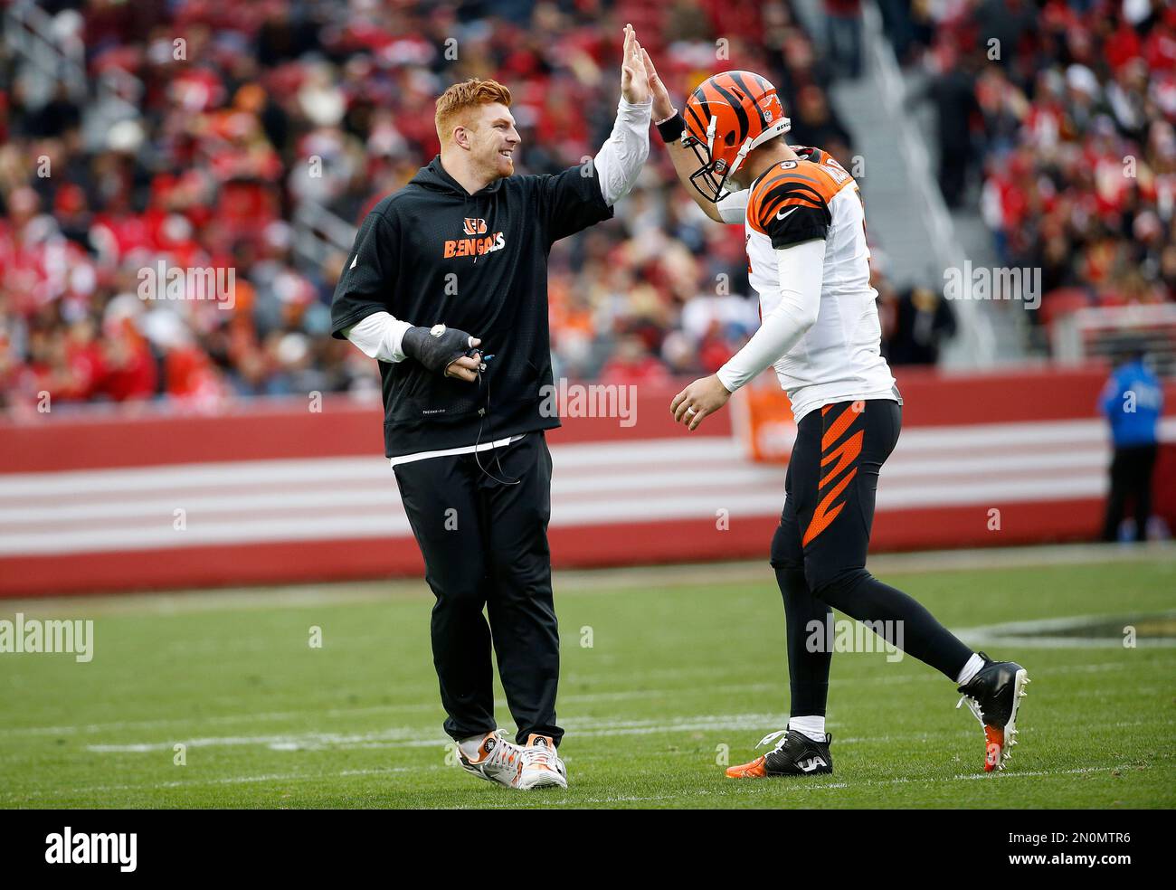 Injured Cincinnati Bengals quarterback Andy Dalton, left, celebrates with Cincinnati Bengals quarterback AJ McCarron after the Bengals scored a touchdown against the San Francisco 49ers during the first half of an NFL football game in Santa Clara, Calif., Sunday, Dec. 20, 2015. (AP Photo/Tony Avelar) Stockfoto
