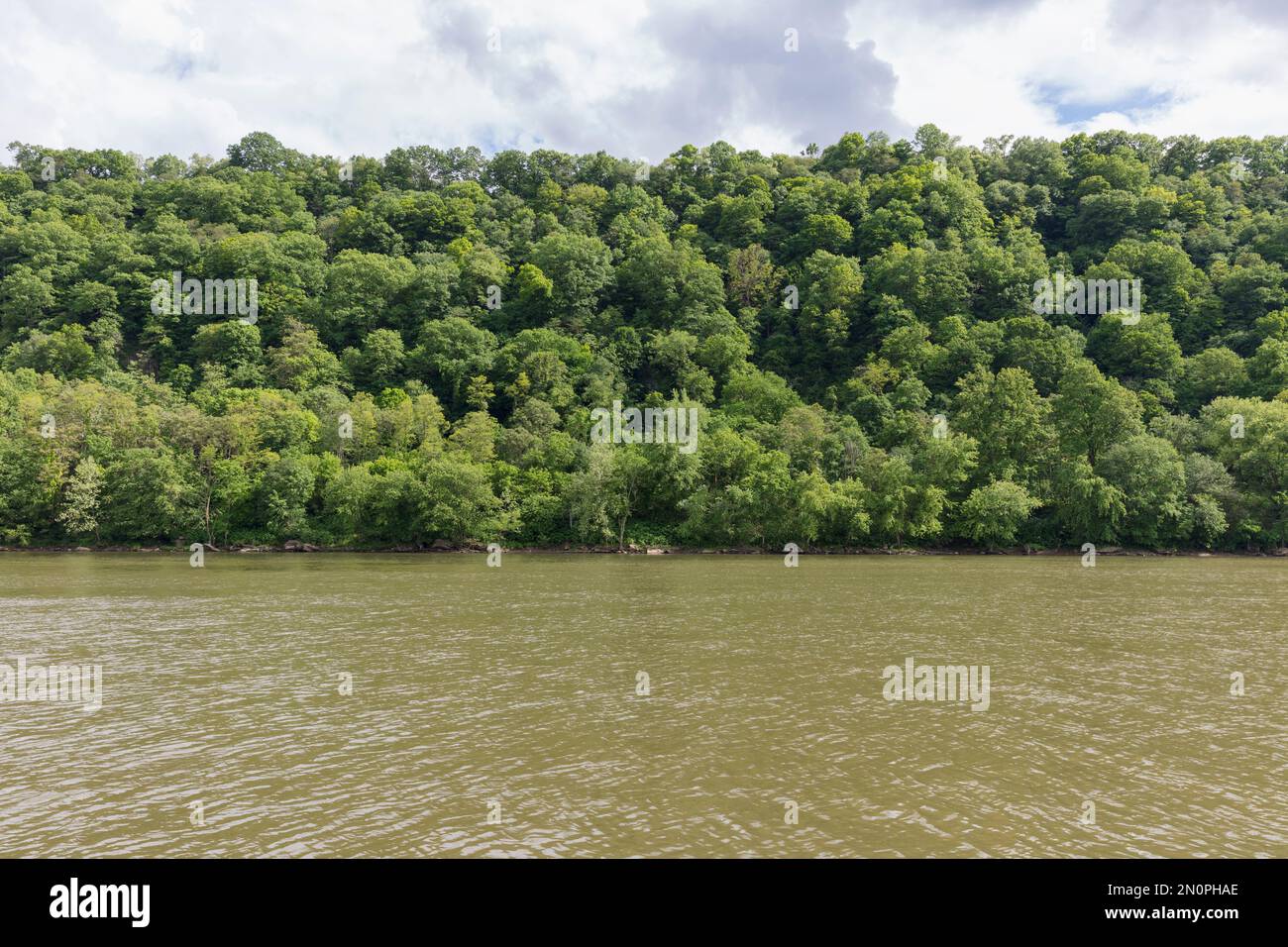 Üppiger, grüner Wald entlang des Allegheny River. Stockfoto