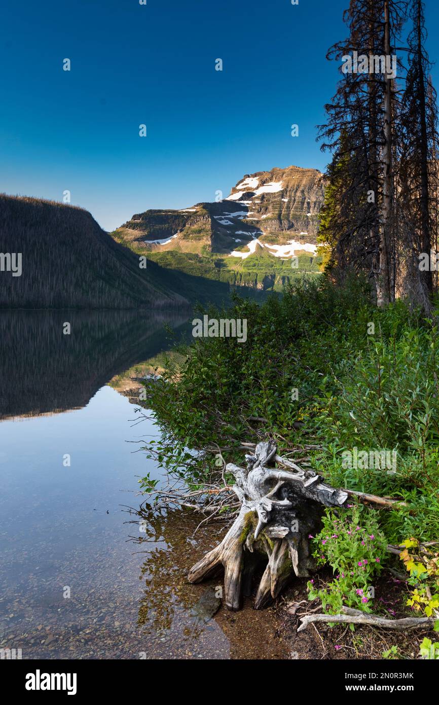 Cameron Lake im Waterton National Park, Alberta, Kanada im Sommer. Stockfoto