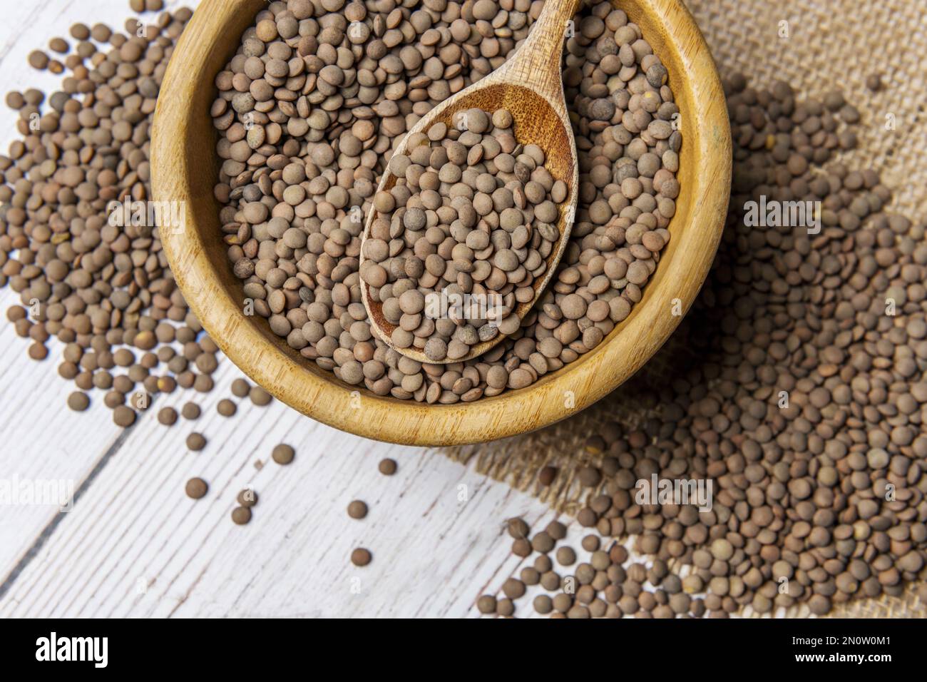 Linse culinaris, die Gemüselentile oder der Eintopf ist eine jährliche krautige Pflanze der Familie der Fabaceae mit Stämmen von 30 bis 40 cm, dünn, verzweigt und g Stockfoto