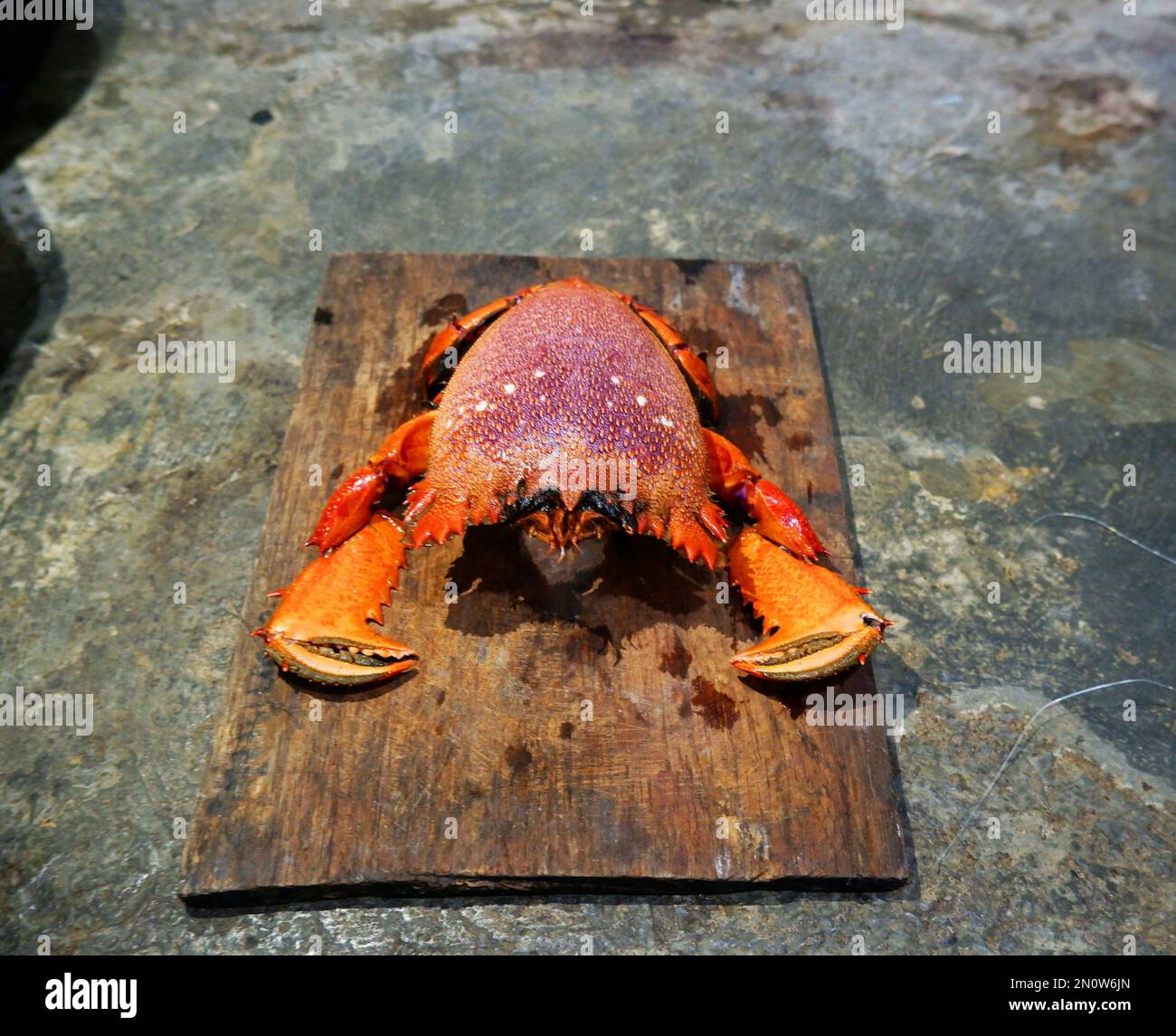 Vorbereitung der Krabbenschlüssel in der Küche auf dem Schneidebrett, Kopierbereich oben Stockfoto