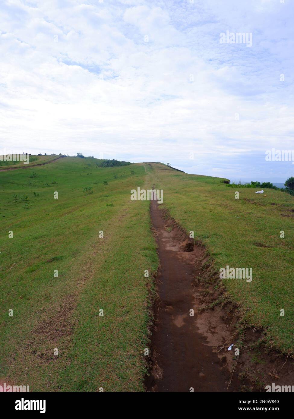 Grünes Grasfeld auf kleinen Hügeln und blauer Himmel mit Wolken und unbefestigten Wanderwegen in Indonesien Stockfoto