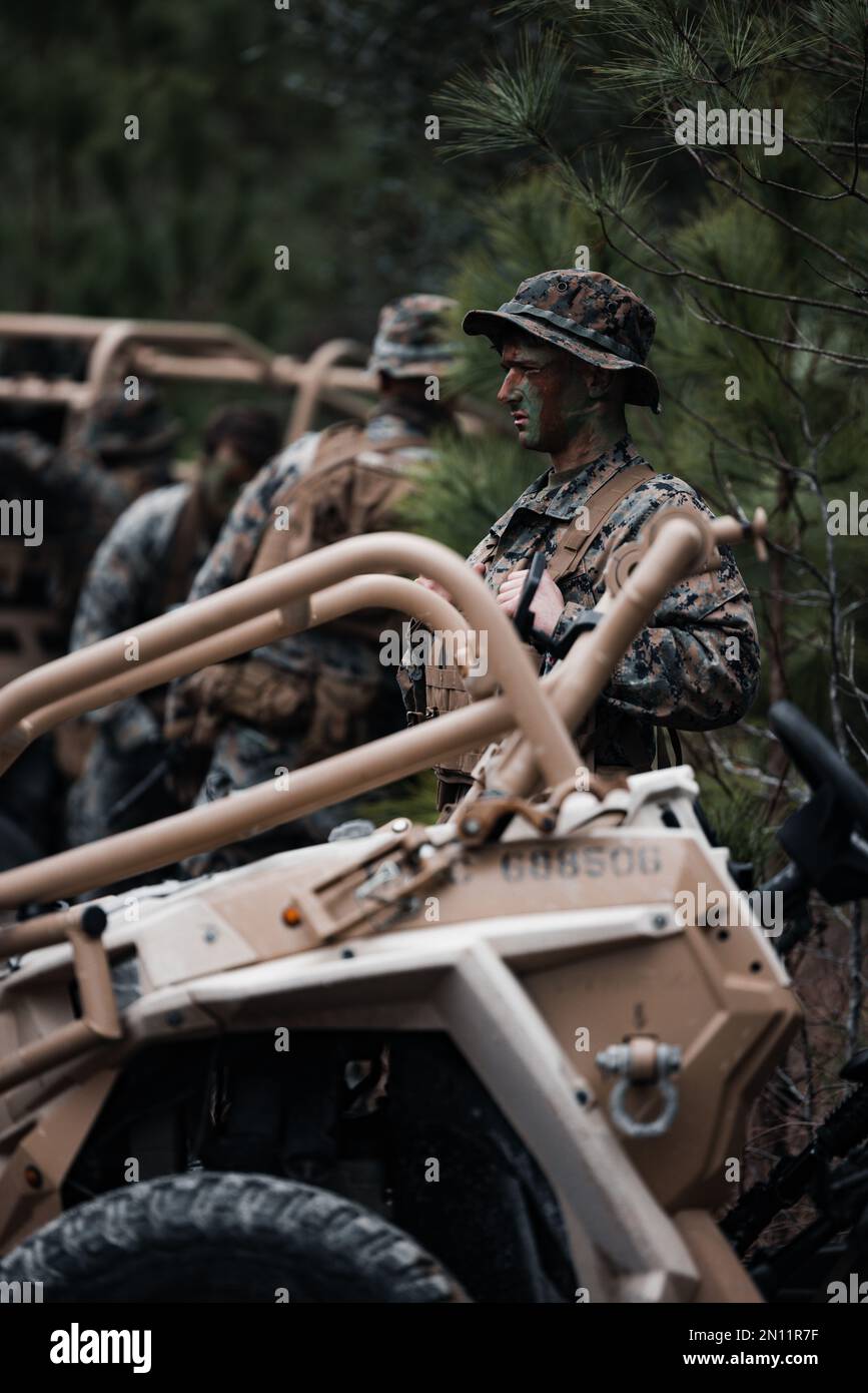 EIN US-AMERIKANISCHER Marine mit 2D leichter gepanzerter Aufklärungsflotte, 2D Marine Division führt eine Littoral-Übung (LEX) in Camp Lejeune, North Carolina, am 31. Januar 2022 durch. Dieses LEX wird dem Befehlshaber der Task Group 61/2,4 die erste Gelegenheit bieten, die maritimen Erfassungs- und Aufklärungskapazitäten des Aufklärungszentrums zu validieren, zu verfeinern und zu verbessern. (USA Marinekorps, Foto: Lance CPL. Isabella Mancini) Stockfoto