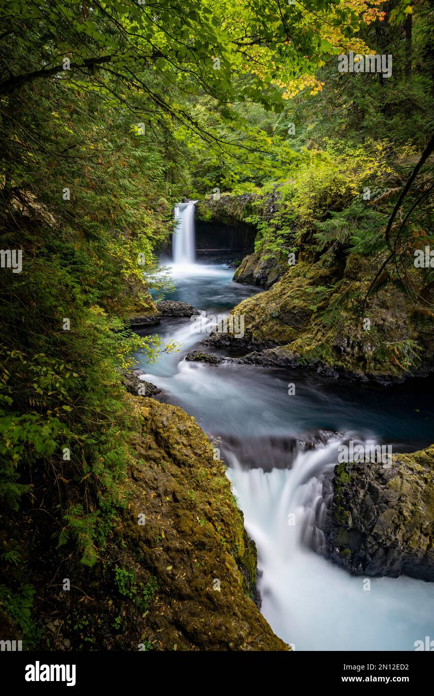 Spirit Falls, Wasserfall über den Felsvorsprung, Basaltfelsen, lange Exposition, dichter Herbstwald, Washington, USA, Nordamerika Stockfoto