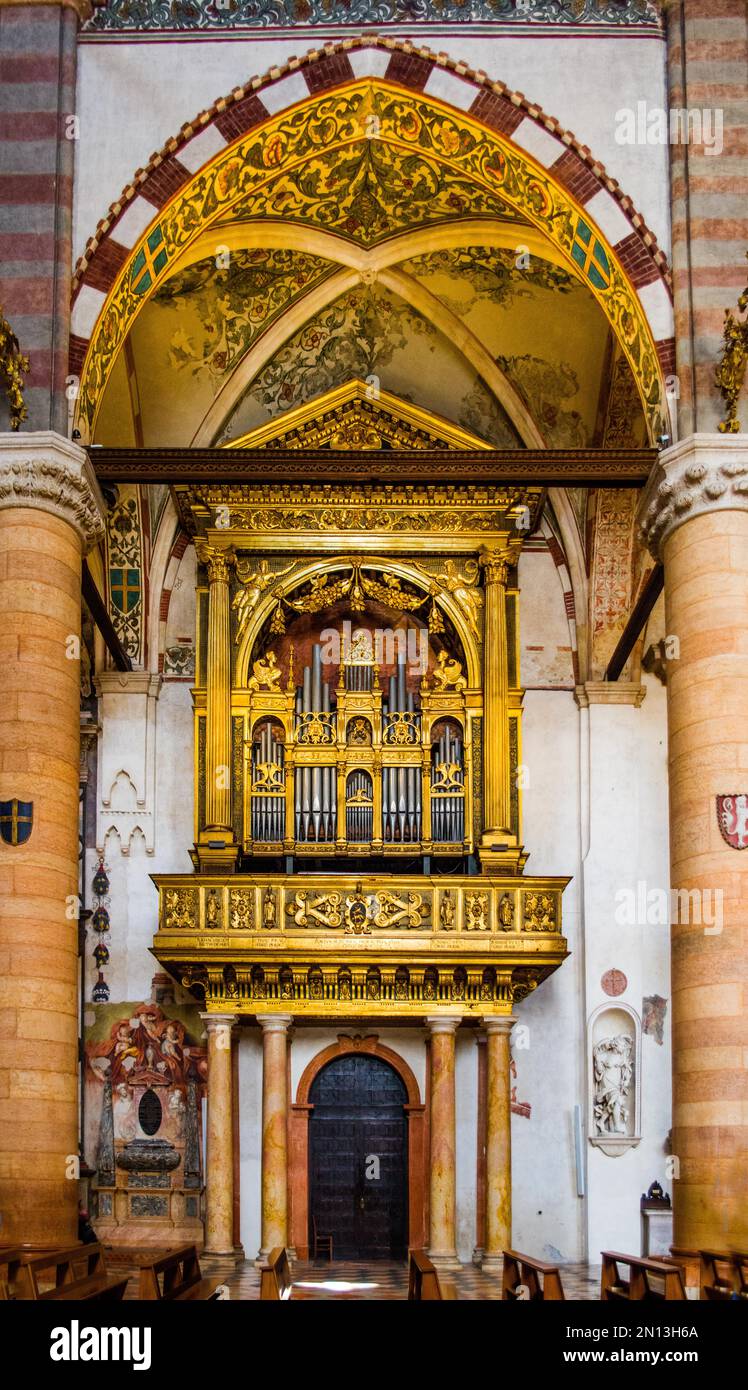 Orgel, Basilica di Sant' Anastasia, Ca. 1290, italienisch-gotisch, Verona mit mittelalterlicher Altstadt, italienisch-gotisch, ca. 1290, Veneto, Italien, Verona, Veneto, Stockfoto
