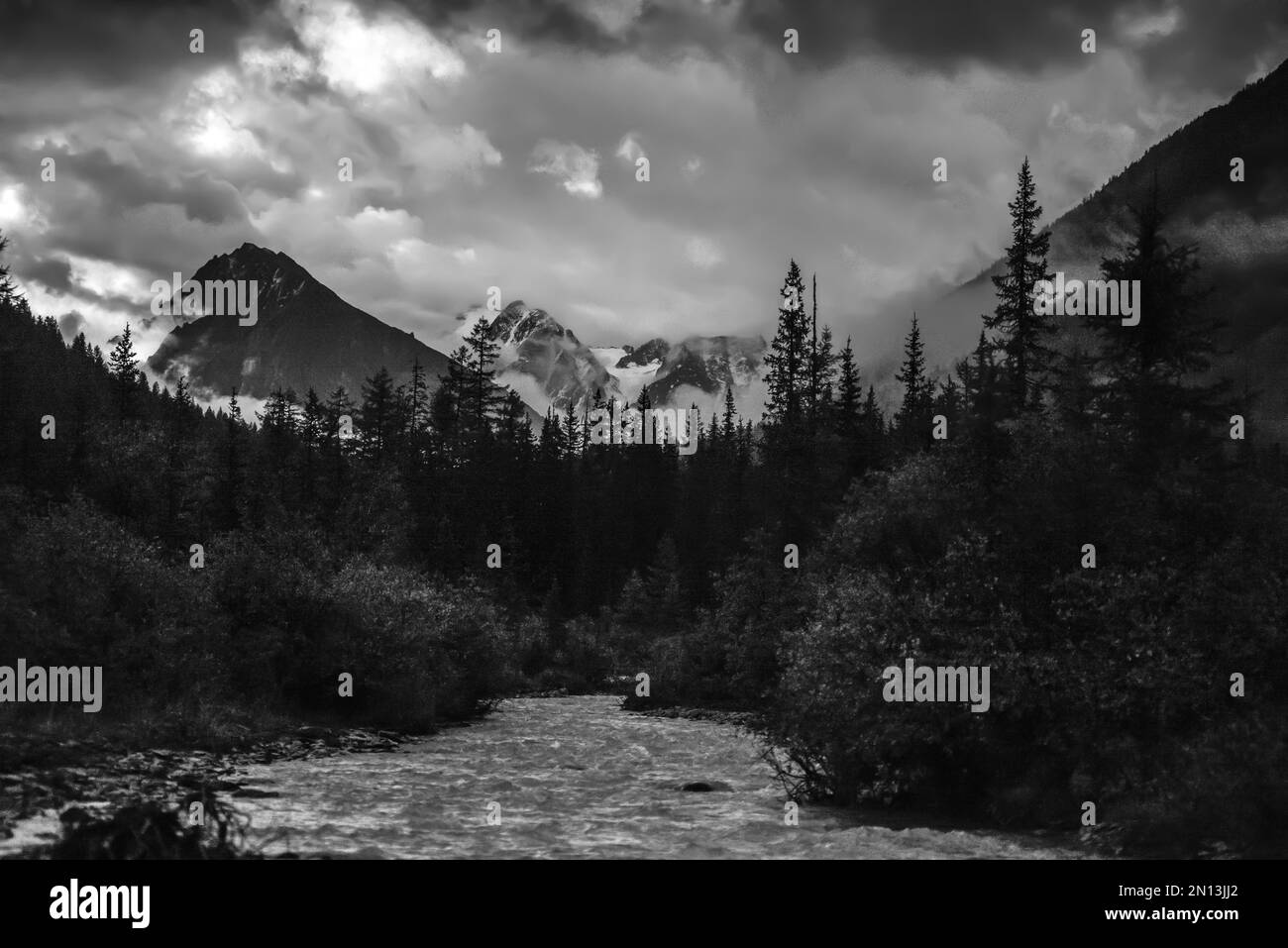 Schwarzweiß-Fotonebel über einem Fichtenwald im Schatten der Berge und der Shavla River umhüllt die Felsen mit Gletschern und Schnee Stockfoto