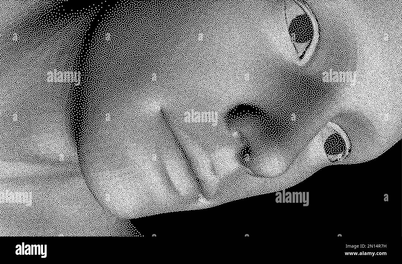 Das Gesicht des Mannes sieht nach unten. Abstrakter digitaler menschlicher Kopf. Minimalistisches Design für Geschäftspräsentationen, Flyer oder Poster. Pixelbild. 3D-Vektordarstellung Stock Vektor