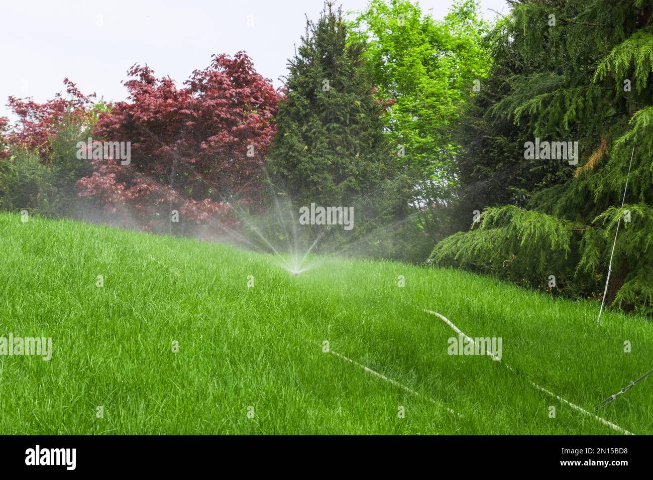 Garten Bewässerungssystem Rasen. Automatischer Rasensprenger zur  Bewässerung von grünem Gras. Selektiver Fokus Stockfotografie - Alamy