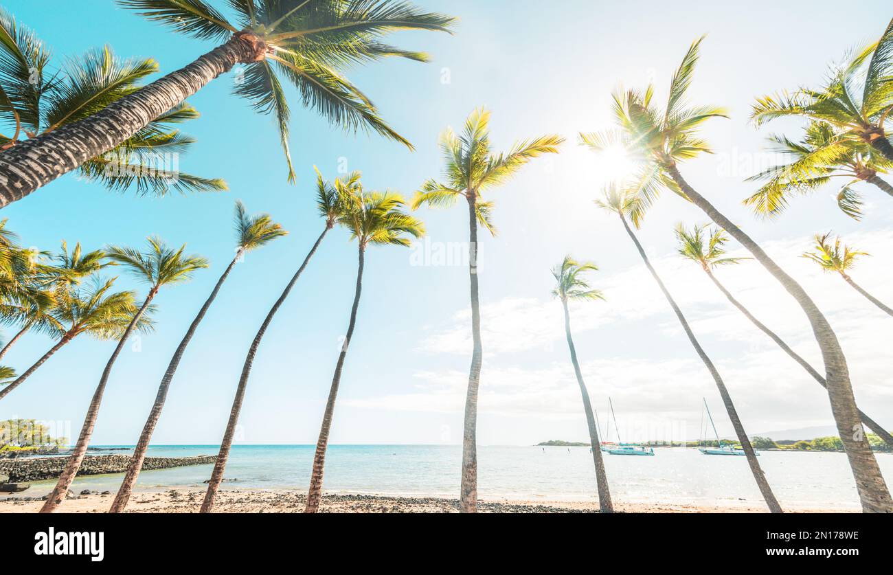 Sommerstrand im Hintergrund Palmen vor blauem Himmel, tropisches Reiseziel in der Karibik Stockfoto