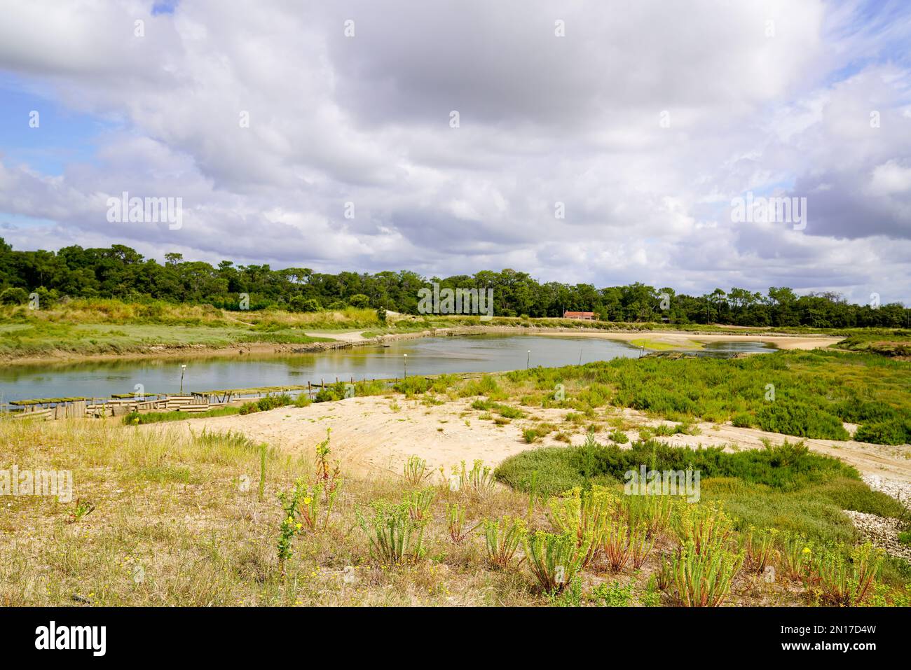 Wilde Wasserstrände an der Sandküste im Vendee Talmont-Saint-Hilaire in Frankreich Stockfoto