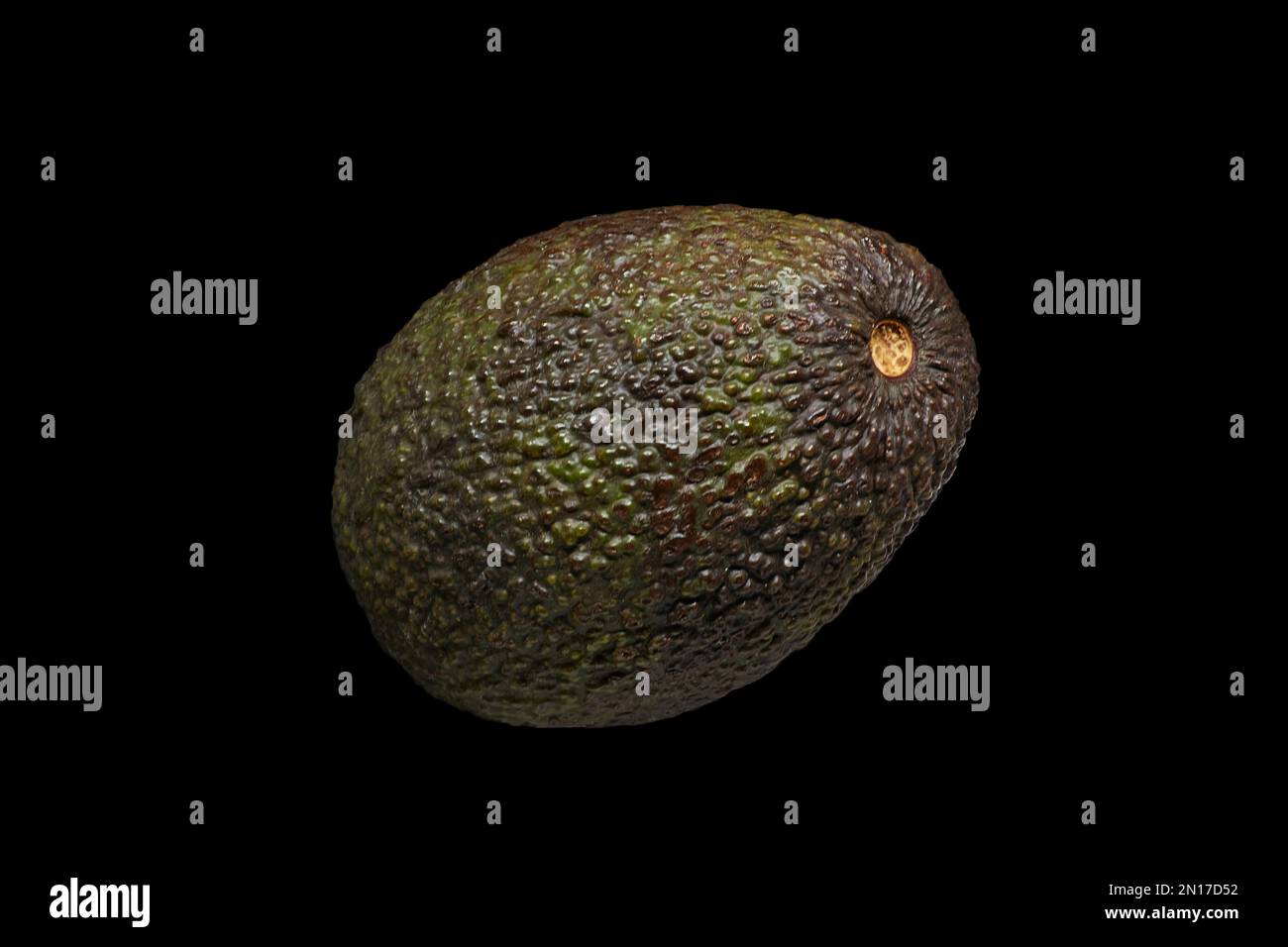 Bild einer reifen Avocado auf schwarzem Hintergrund Stockfoto