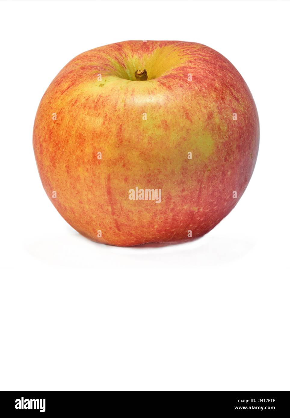 Roter, gesunder Apfel. Rote Äpfel, die tief am Baum hängen - eine wirklich gesunde und verführerische Leckerbissen. Stockfoto