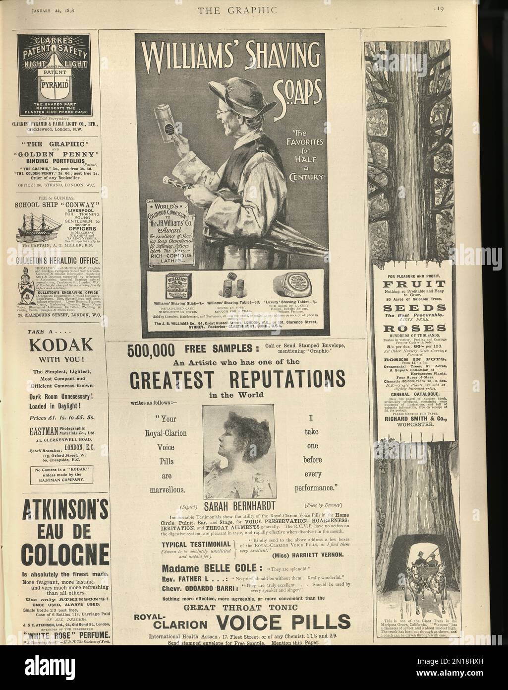 Viktorianische Zeitungsanzeigen Rasierseifen, Fruchtsamen aus dem 1890er., 19. Jahrhundert Stockfoto