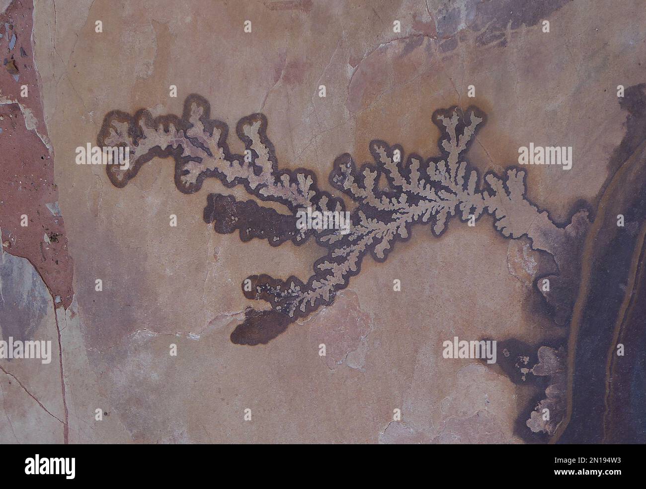 Petra, Jordanien Stockfoto