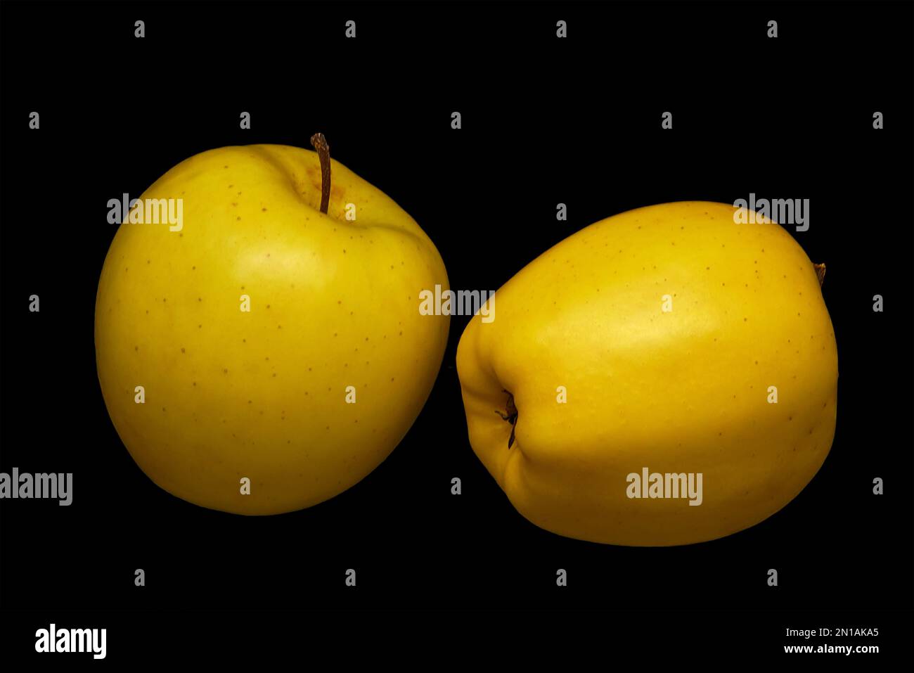 Bild von zwei reifen gelben Äpfeln auf schwarzem Hintergrund Stockfoto