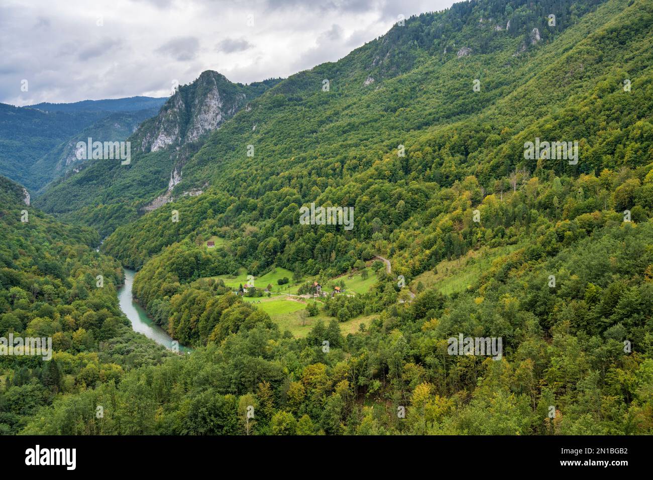 Üppig grüne Landschaft und majestätische Gipfel im Tara River Valley im Norden Montenegros Stockfoto