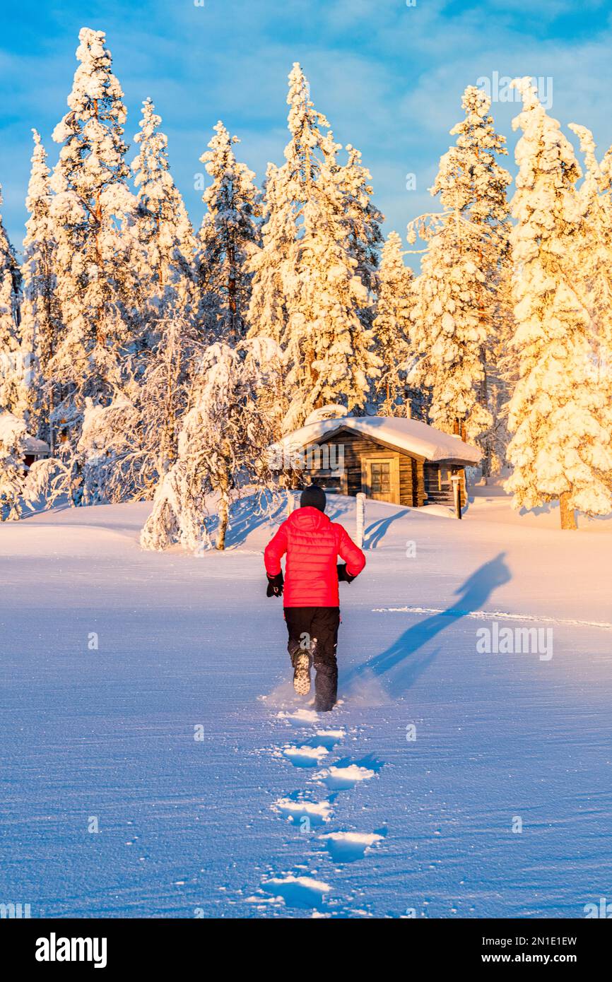 Person, die im tiefen Schnee zu einem hölzernen Chalet und in den Wald rennt, Kangos, Norrbotten County, Lappland, Schweden, Skandinavien, Europa Stockfoto