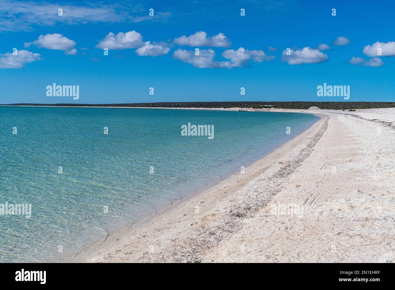 Shell Beach, Shark Bay, UNESCO-Weltkulturerbe, Westaustralien, Australien, Pazifik Stockfoto