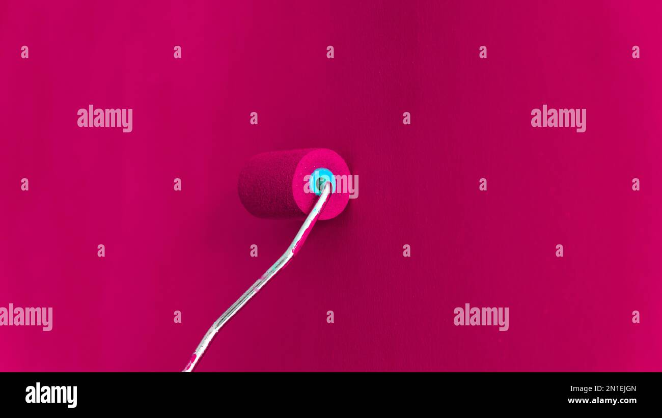 Eine Wand mit Malerwalze streichen. Viva-Hintergrund (Magenta). Trendfarbe des Jahres viva magenta. Mit selektivem Fokus. Stockfoto