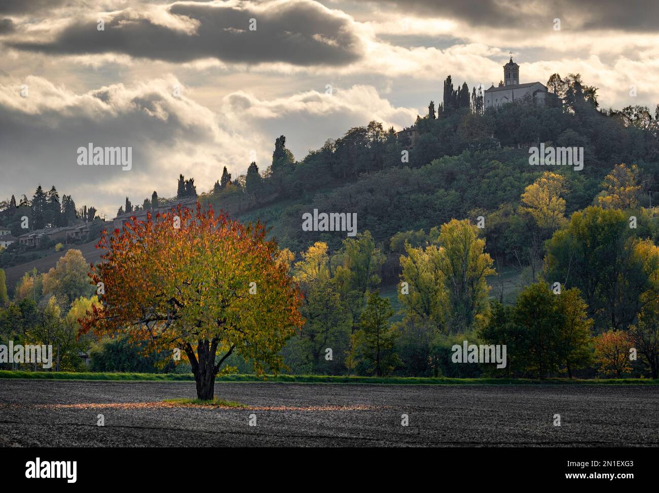Die ersten Herbstfarben eines Kirschbaums in der italienischen Landschaft mit einer Kirche auf einem Hügel im Hintergrund, Emilia Romagna, Italien, Europa Stockfoto