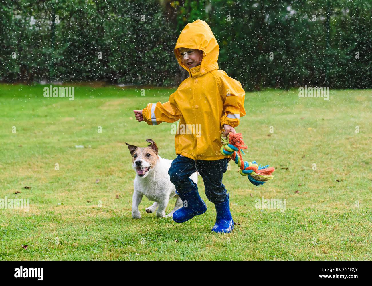 Kind, das mit einem Haustierhund der Familie auf dem Garten spielt, bei Frühlingsregen. Wegen der Regenzeit trägt ein Mädchen wasserdichte Kleidung. Stockfoto