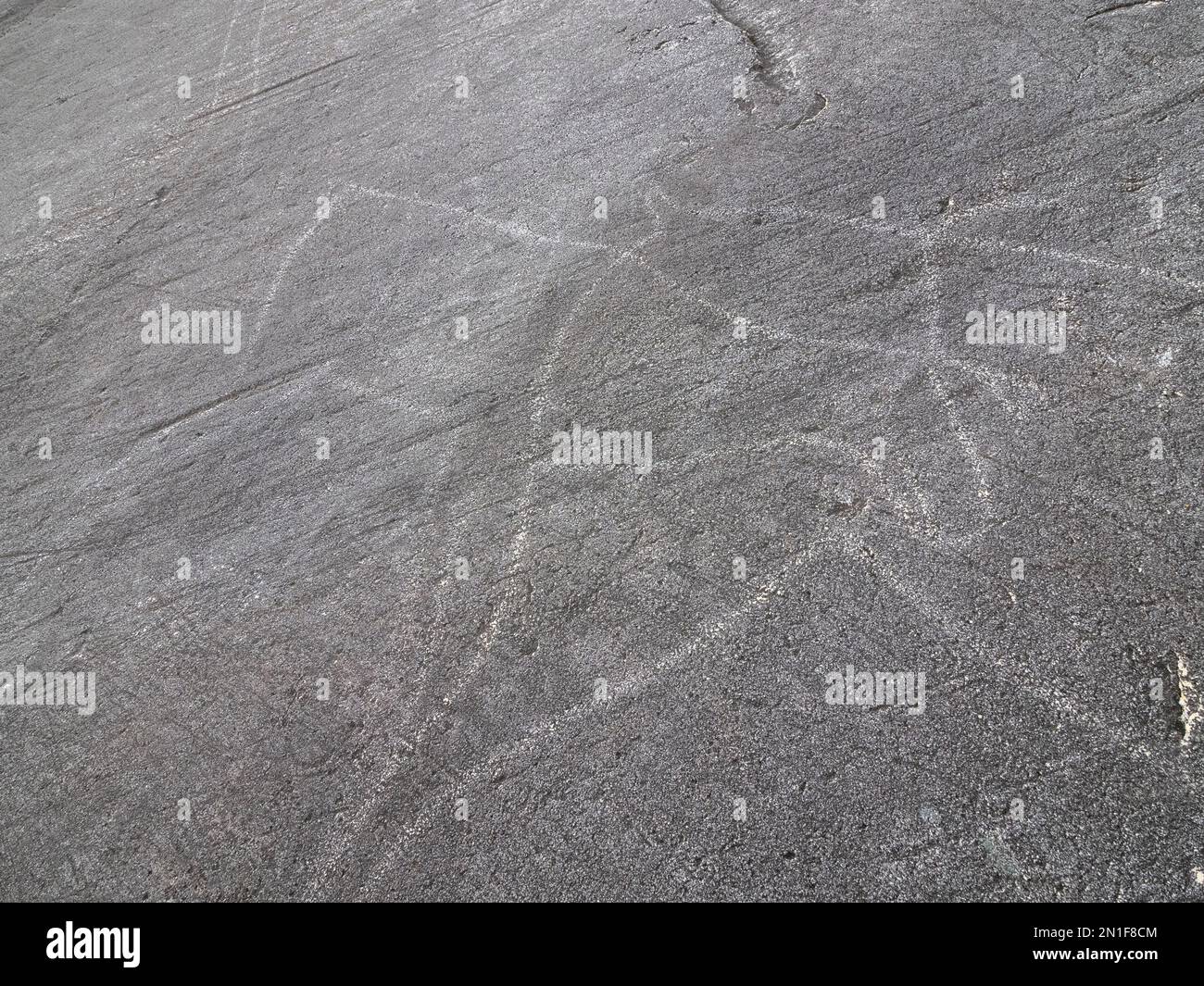Prähistorische Felsschnitzereien, Felszeichnungen, in Leiknes, mit Szenen aus der Jagd, Norwegen, Skandinavien, Europa Stockfoto